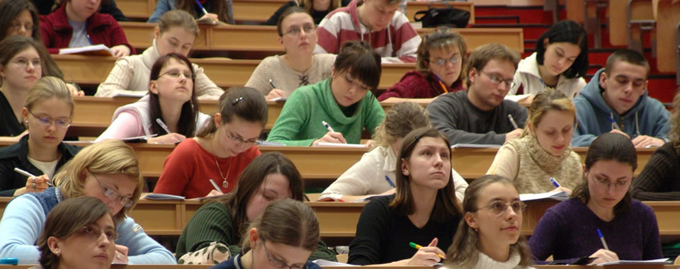 短信轰在线轰炸免费网站